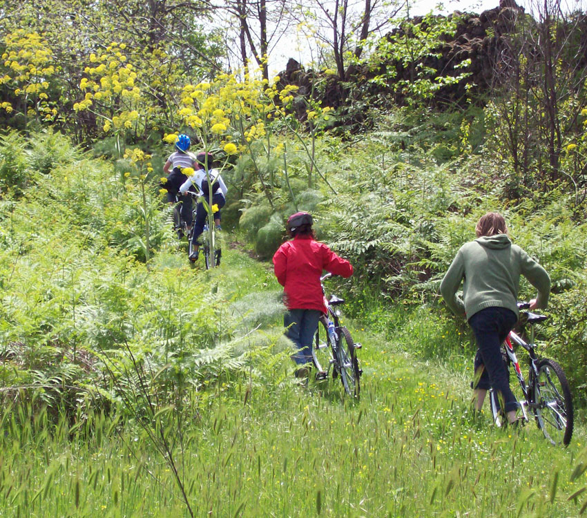 OutSide Service: Mountain Bike